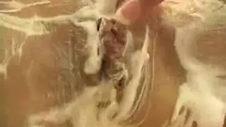 ممارسة الجنس مع الولادة