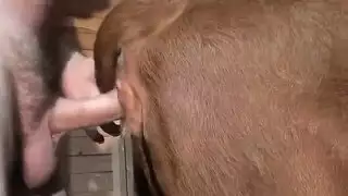 افلام سكس حيوانات مع بشر بجد