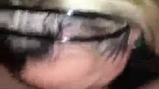 جماع وجهي قبل البث بقضيب إباحي منتصب