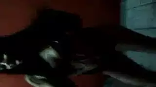 سكسي مصري ابن ينيك امة